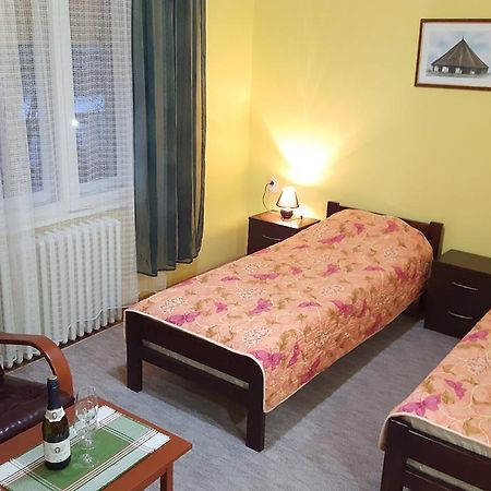 Apartment Roxana Centar ノヴィ・サド エクステリア 写真
