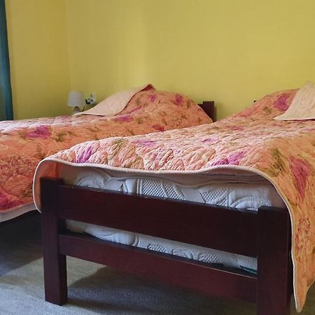 Apartment Roxana Centar ノヴィ・サド エクステリア 写真