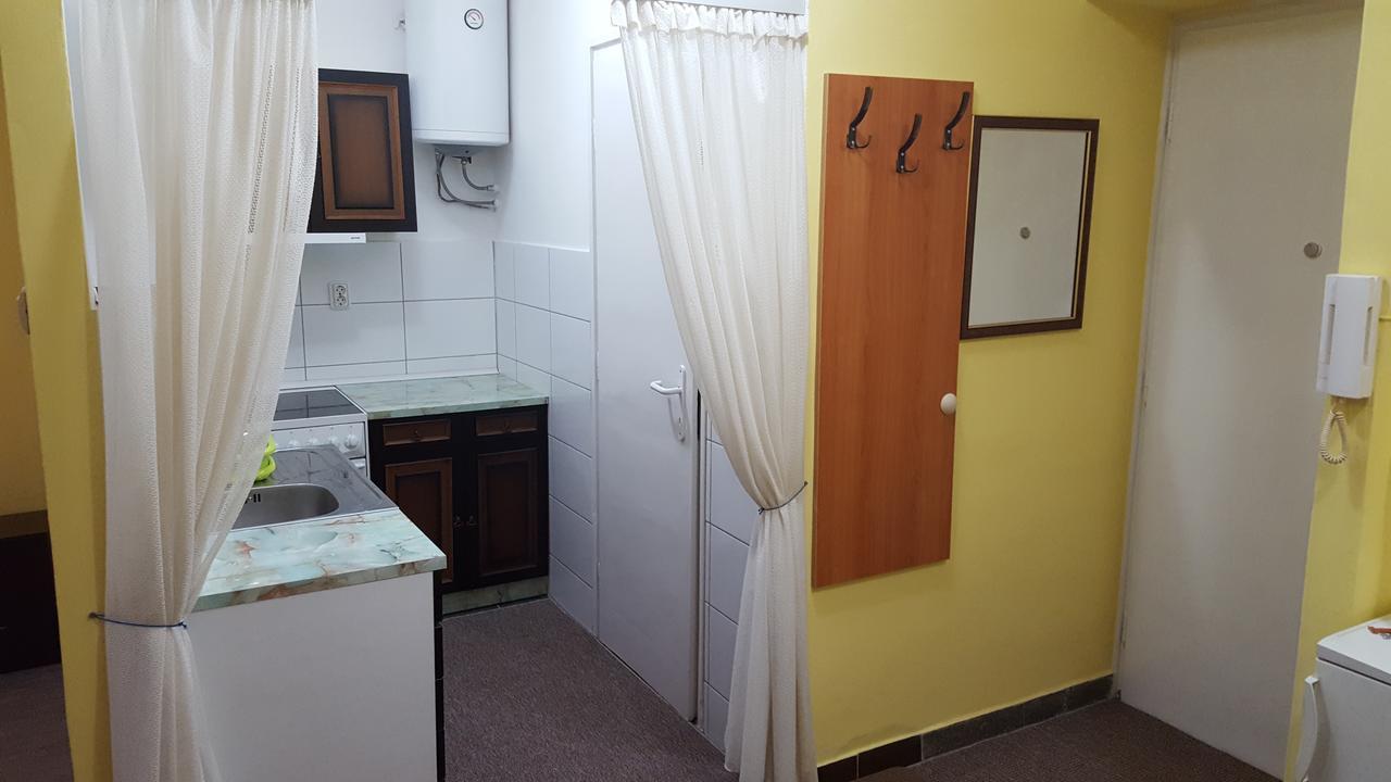 Apartment Roxana Centar ノヴィ・サド エクステリア 写真