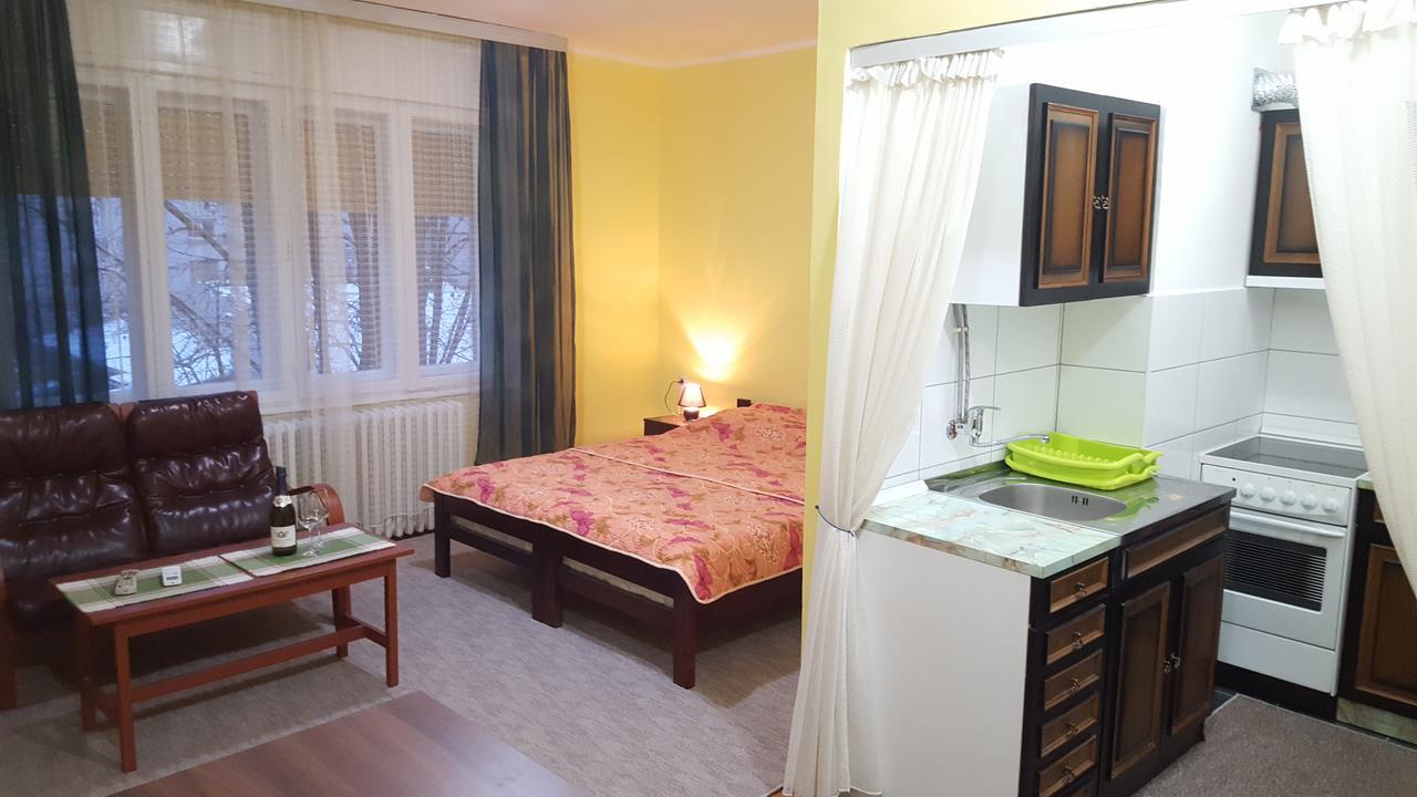 Apartment Roxana Centar ノヴィ・サド エクステリア 写真